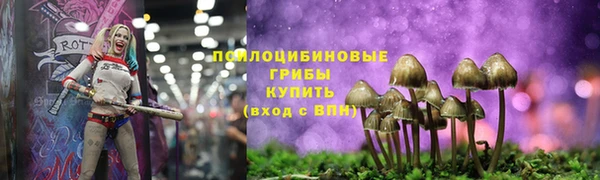 эйфоретик Каменногорск