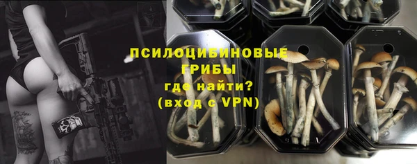эйфоретик Каменногорск