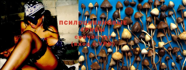 эйфоретик Каменногорск