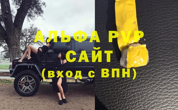 эйфоретик Каменногорск