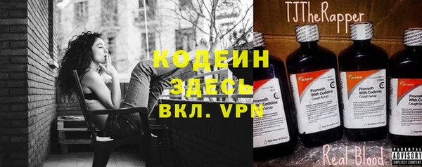 мет Каменка