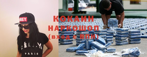 мет Каменка