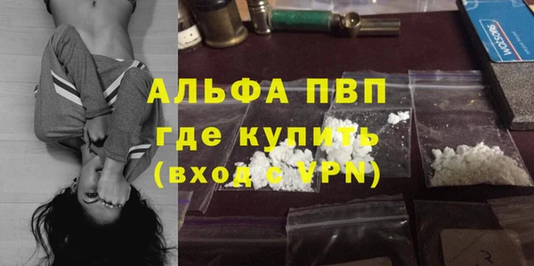 эйфоретик Каменногорск